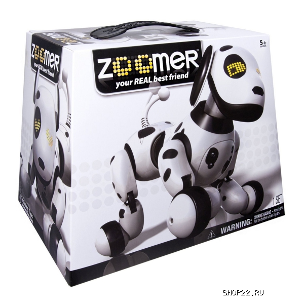  Zoomer  ,64  20068497   - 