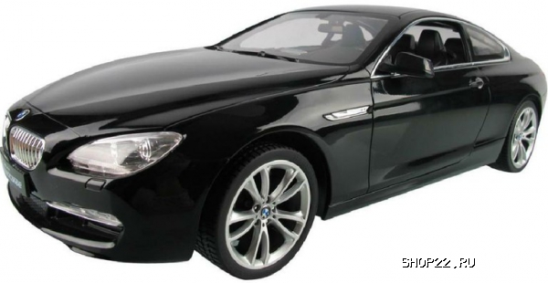  / New BMW 6S Rastar (52300)