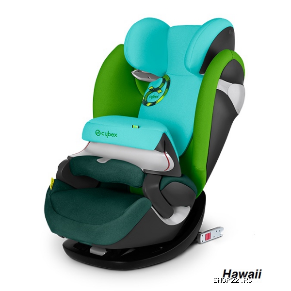 ������ Pallas M-Fix Black Beauty � �������� - ����