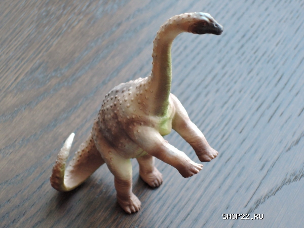 ������ Collecta �������� 88315b � �������� - ����