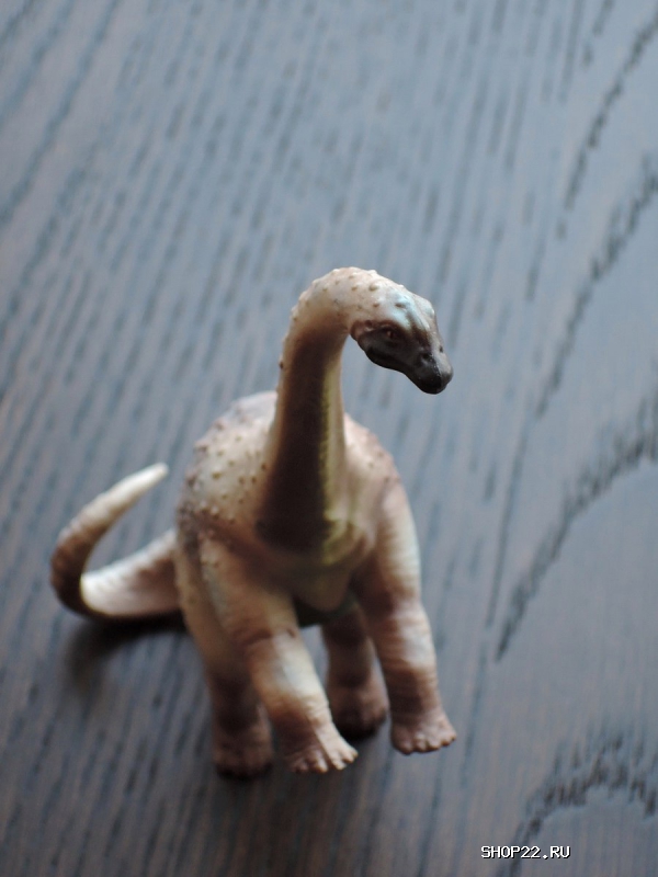 ������ Collecta �������� 88315b � �������� - ����