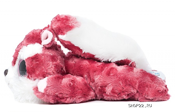 ������ AURORA ������� ���. ����� ���� ������� 23 �� 65-603 ��� � ������ � �������� - ����