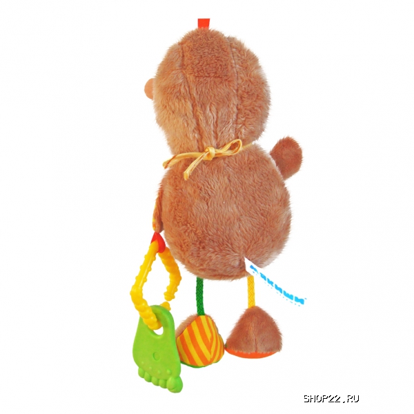 ������ �������� 