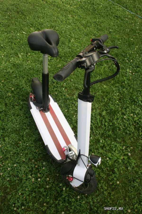 ������ ������� � �������� - ����