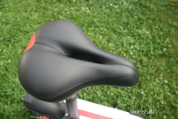 ������ ������� � �������� - ����