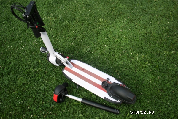 ������ ������� � �������� - ����