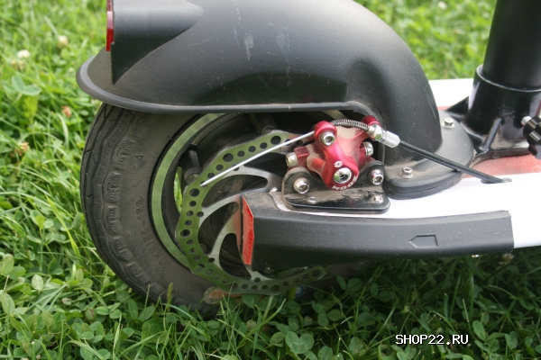 ������ ������� � �������� - ����