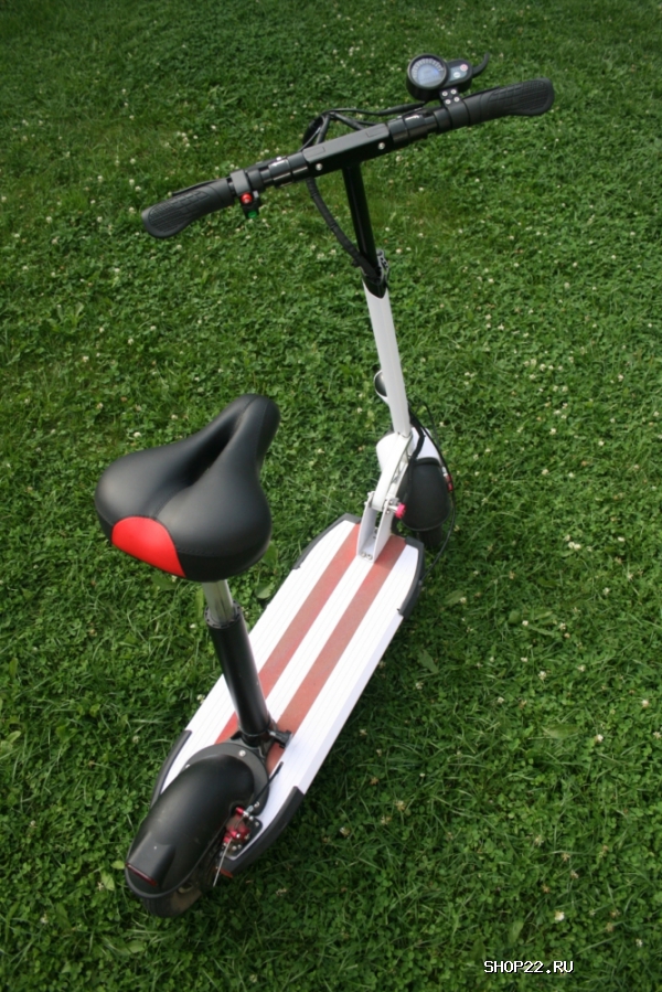 ������ ������� � �������� - ����