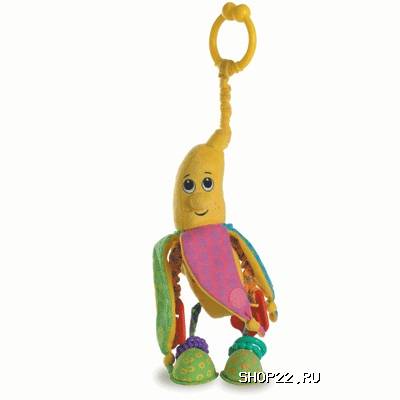 ������ ����������� �������-������������� "�����" � �������� - ����