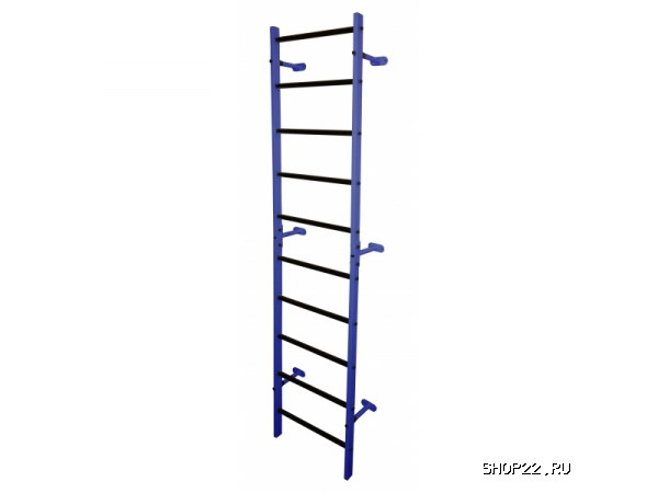 �������� ������ ������� �������� (���02�450)